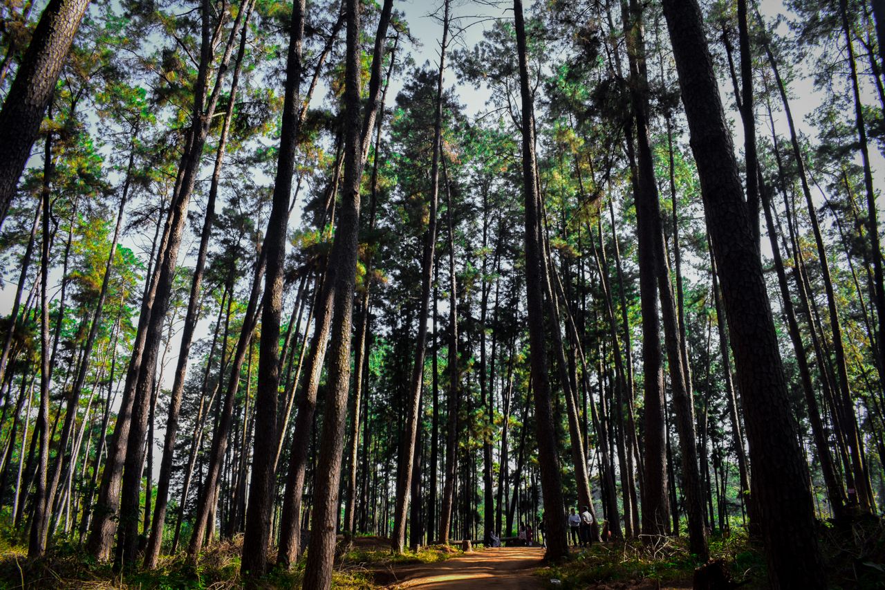 Vagamon